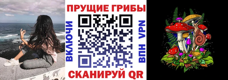 Галлюциногенные грибы Psilocybine cubensis  Соликамск 
